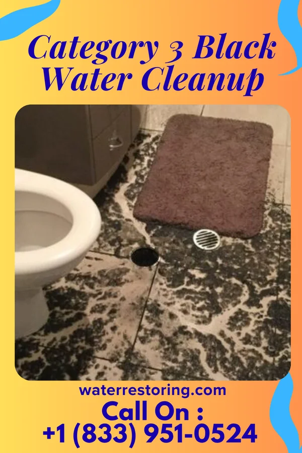 Category 3 Black Water Cleanup in Lincoln Heights, OH