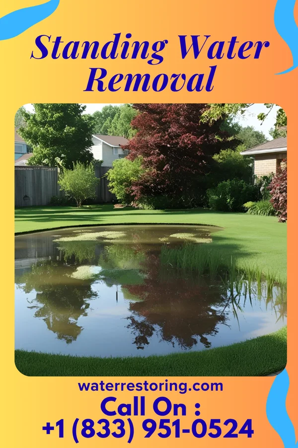 Standing Water Removal in Lincoln Heights, OH
